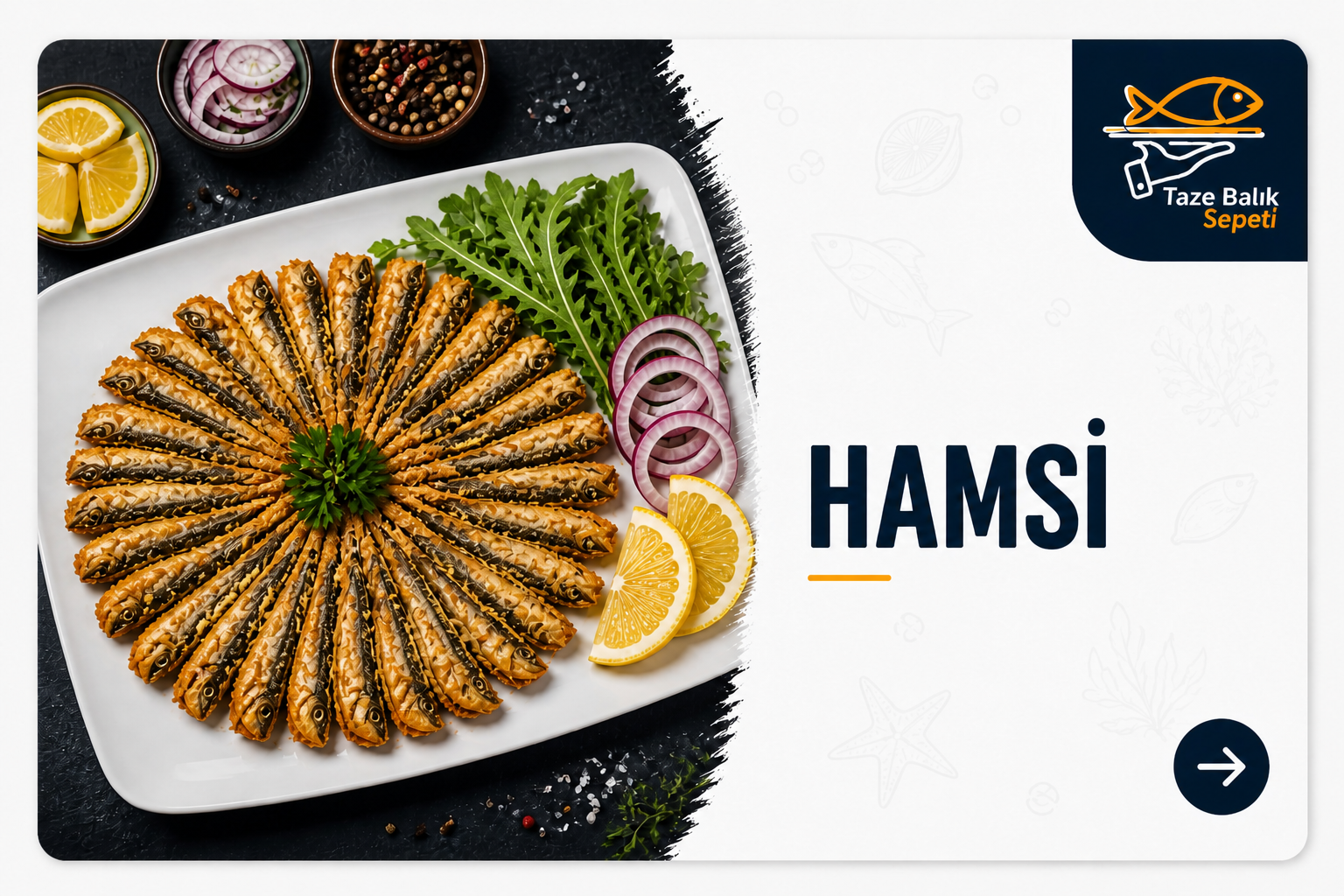 DENİZ hamsi